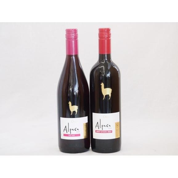 チリ産ワインアルパカ2本セット(赤ピノ・ノワール(ミディアムボディ) 赤カベルネ・メルロー(ミディアムボディ)) 750ml×2本01