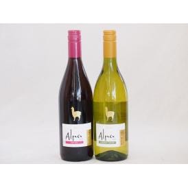 チリ産ワインアルパカ2本セット(赤ピノ・ノワール(ミディアムボディ) 白シャルドネ・セミヨン(辛口)) 750ml×2本