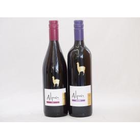 チリ産ワインアルパカ2本セット(赤シラー(フルボディ) 赤カルメネール(フルボディ)) 750ml×2本