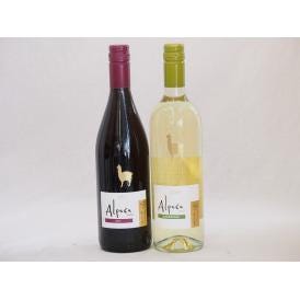 チリ産ワインアルパカ2本セット(赤シラー(フルボディ) 白ソーヴィニヨン・ブラン(辛口)) 750ml×2本