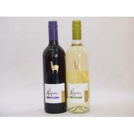 チリ産ワインアルパカ2本セット(赤カルメネール(フルボディ) 白ソーヴィニヨン・ブラン(辛口)) 750ml×2本