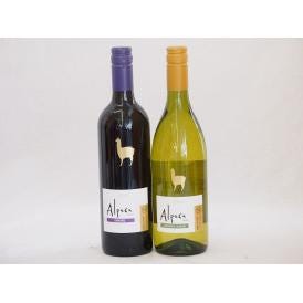 チリ産ワインアルパカ2本セット(赤カルメネール(フルボディ) 白シャルドネ・セミヨン(辛口)) 750ml×2本