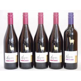 チリ産ワインアルパカ5本セット(赤シラー(フルボディ) 赤カルメネール(フルボディ)) 750ml×5本