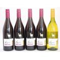 チリ産ワインアルパカ5本セット(赤シラー(フルボディ) 白シャルドネ・セミヨン(辛口)) 750ml×5本