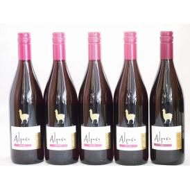 チリ産ワインアルパカ5本セット(赤ピノ・ノワール(ミディアムボディ) 赤シラー(フルボディ)) 750ml×5本