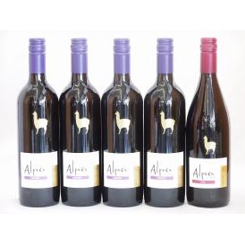 チリ産ワインアルパカ5本セット(赤シラー(フルボディ) 赤カルメネール(フルボディ)) 750ml×5本
