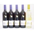 チリ産ワインアルパカ5本セット(赤カルメネール(フルボディ) 白ソーヴィニヨン・ブラン(辛口)) 750ml×5本