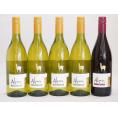 チリ産ワインアルパカ5本セット(赤シラー(フルボディ) 白シャルドネ・セミヨン(辛口)) 750ml×5本
