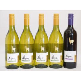 チリ産ワインアルパカ5本セット(赤カルメネール(フルボディ) 白シャルドネ・セミヨン(辛口)) 750ml×5本