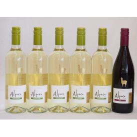 チリ産ワインアルパカ6本セット(赤シラー(フルボディ) 白ソーヴィニヨン・ブラン(辛口)) 750ml×6本