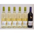 チリ産ワインアルパカ6本セット(赤カルメネール(フルボディ) 白ソーヴィニヨン・ブラン(辛口)) 750ml×6本