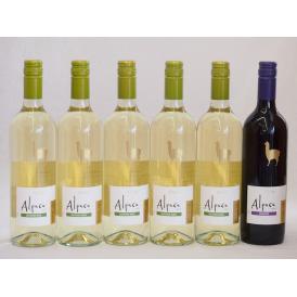 チリ産ワインアルパカ6本セット(赤カルメネール(フルボディ) 白ソーヴィニヨン・ブラン(辛口)) 750ml×6本