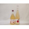 国産りんご酒2本セット(青森弘前市産シードル 信州のりんごワイン) 500ml×2本