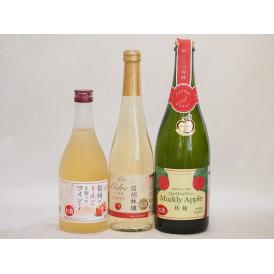 国産りんご酒3本セット(信州林檎シードル 信州のりんごワイン アップルドライ辛口) 500ml×2本