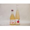 国産りんご酒2本セット(青森弘前市産シードル 信州のりんごワイン) 500ml×2本