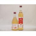 りんご酒2本セット(アップルワイン 信州のりんごワイン) 500ml×2本