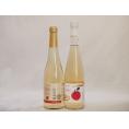 国産りんご酒2本セット(青森弘前市産シードル 信州林檎シードル) 500ml×2本