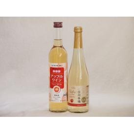 りんご酒2本セット(信州林檎シードル アップルワイン) 500ml×2本