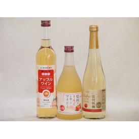 りんご酒3本セット(信州林檎シードル アップルワイン 信州のりんごワイン) 500ml×3本