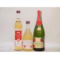 りんご酒3本セット(アップルワイン 信州のりんごワイン アップルドライ辛口) 500ml×2本 75