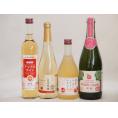 りんご酒4本セット(信州林檎シードル セミスイートアップル(やや甘口) アップルワイン 信州のりんご