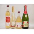 りんご酒4本セット(信州林檎シードル アップルワイン 信州のりんごワイン アップルドライ辛口) 50