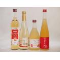 りんご酒4本セット(信州林檎シードル りんごはじめましたりんご梅酒 アップルワイン 信州のりんごワイ