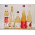 りんご酒5本セット(青森弘前市産シードル 信州林檎シードル りんごはじめましたりんご梅酒 アップルワ