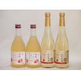 りんごワイン4本セット(信州林檎シードル 信州のりんごワイン) 500ml×4本