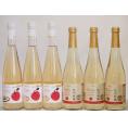 りんごワイン6本セット(青森弘前市産シードル 信州林檎シードル) 500ml×6本