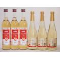 りんごワイン6本セット(信州林檎シードル アップルワイン) 500ml×6本