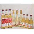 りんごワイン9本セット(信州林檎シードル アップルワイン 信州のりんごワイン) 500ml×9本