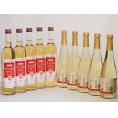 りんごワイン10本セット(信州林檎シードル アップルワイン) 500ml×10本