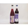 リキュール特集2本セット(グレープ&ブルーベリーワイン 紀州ブルーベリー梅酒) 500ml×1本 7
