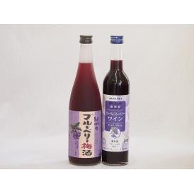 リキュール特集2本セット(グレープ&ブルーベリーワイン 紀州ブルーベリー梅酒) 500ml×1本 7