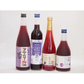 リキュール特集4本セット(信州の巨峰を使ったワインalc.4% スパークリング信州巨峰 グレープ&ブ