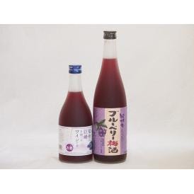 リキュール特集2本セット(信州の巨峰を使ったワインalc.4% 紀州ブルーベリー梅酒) 500ml×