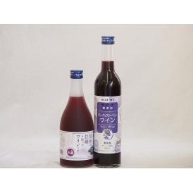 リキュール特集2本セット(信州の巨峰を使ったワインalc.4% グレープ&ブルーベリーワイン) 50