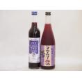 リキュール特集2本セット(グレープ&ブルーベリーワイン 紀州ブルーベリー梅酒) 500ml×1本 7