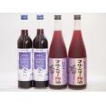 リキュール特集4本セット(グレープ&ブルーベリーワイン 紀州ブルーベリー梅酒) 500ml×2本 7