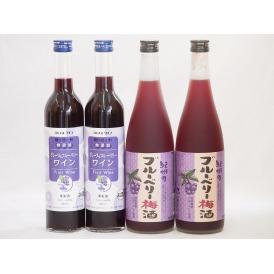 リキュール特集4本セット(グレープ&ブルーベリーワイン 紀州ブルーベリー梅酒) 500ml×2本 7