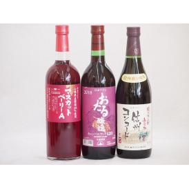 国産赤ワイン3本セット(北海道赤ワイン キャンベルアーリ辛口 信州コンコード赤ワイン中口 山梨県マス