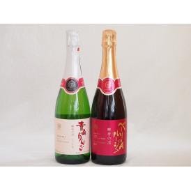 国産スパークリングワイン2本セット(山梨県マスカット・ベーリーAルージュ赤 酵母の泡 やや辛口 青森
