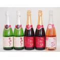 国産スパークリングワイン5本セット(山梨県マスカット・ベーリーAルージュ赤 酵母の泡 やや辛口 青森