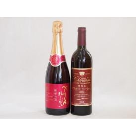 ベーリーAワイン2本セット(山梨県マスカット・ベーリーAルージュ赤 酵母の泡 やや辛口 山梨県産樽熟