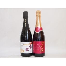 スパークリング赤ワイン2本セット(山梨県マスカット・ベーリーAルージュ赤 酵母の泡 やや辛口 京都丹