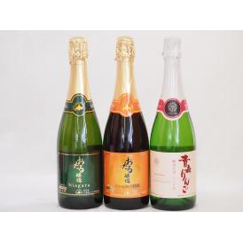 国産スパークリング甘口ワイン3本セット(おたる醸造 スパークリング赤 キャンベルアーリ 甘口 おたる