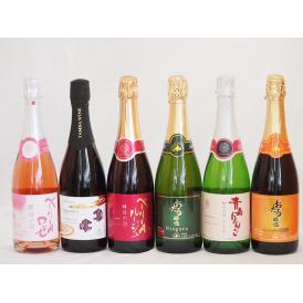 国産スパークリングワイン6本セット(おたる醸造 スパークリング赤 キャンベルアーリ 甘口 おたる醸造