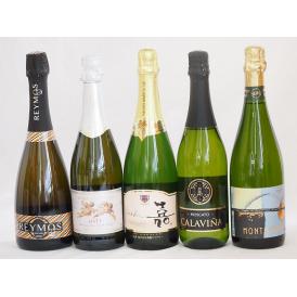 スパークリング赤ワイン5本セット(天使のアスティ スパークリング白ワイン(イタリア) 嘉スパークリン