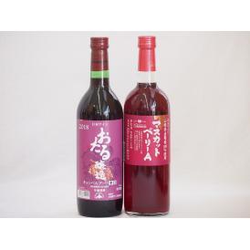 国産赤ワイン2本セット(北海道赤ワイン キャンベルアーリ辛口 山梨県マスカットベーリーA赤ワイン) 